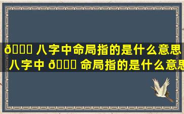 🐛 八字中命局指的是什么意思（八字中 🕊 命局指的是什么意思啊）